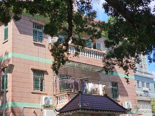 【春節(jié)趣事分享】好天氣好時(shí)光