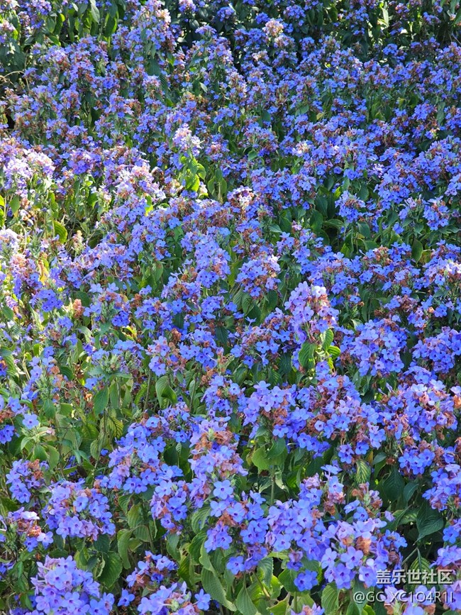 【春節(jié)去哪兒】好天氣好風(fēng)光