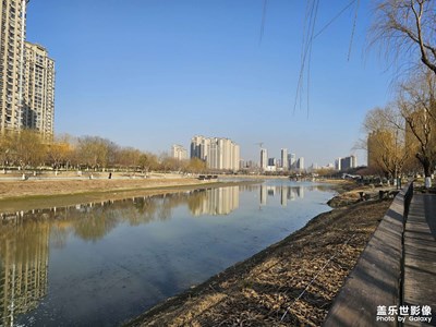 【光影賀新】馬年吉祥，新年快樂