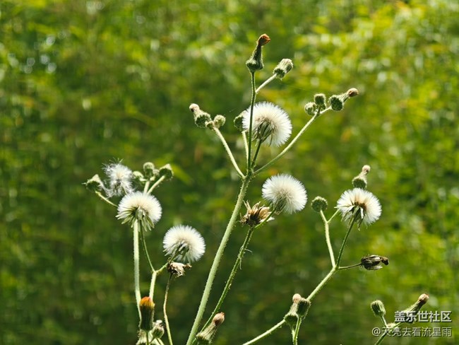 【春醒萬物生】春風如畫筆