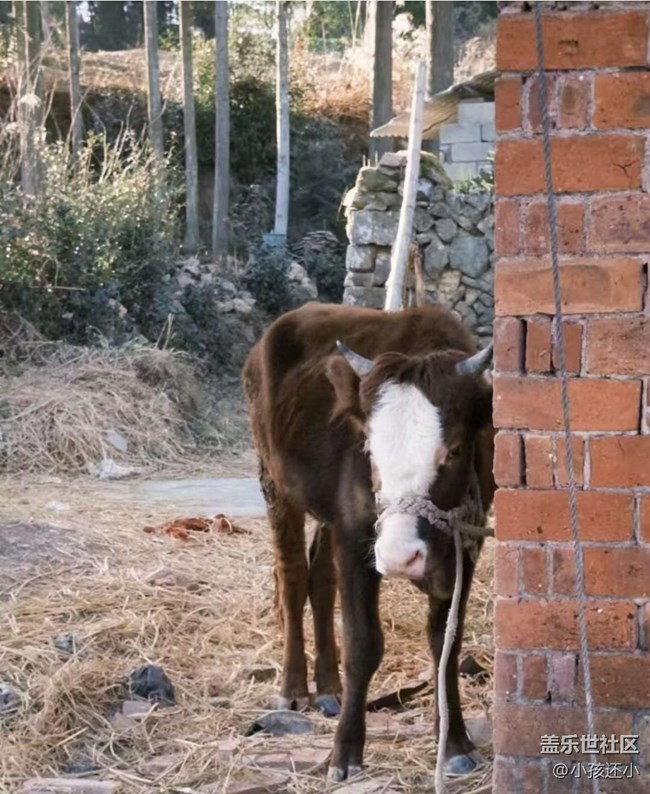 【春節(jié)去哪兒】家鄉(xiāng)風(fēng)景