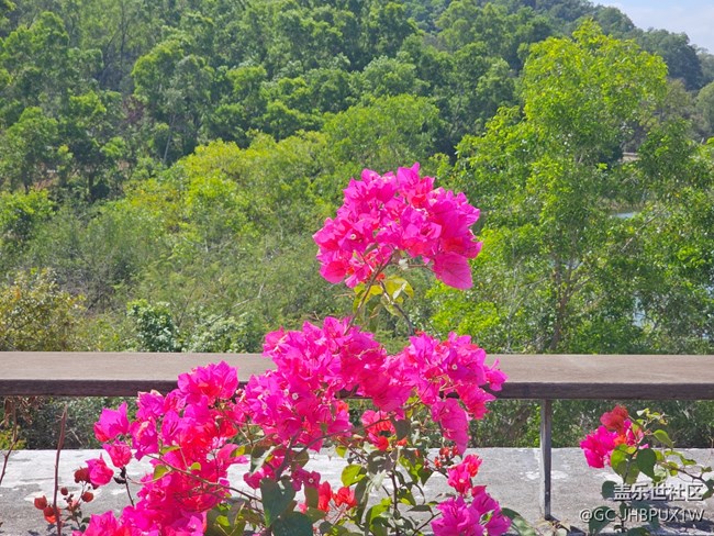 【春節(jié)去哪兒】散步