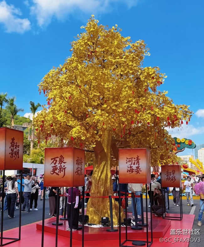 【春節(jié)去哪兒】花市