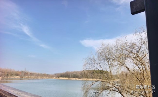 【春節(jié)去哪兒】公園散步