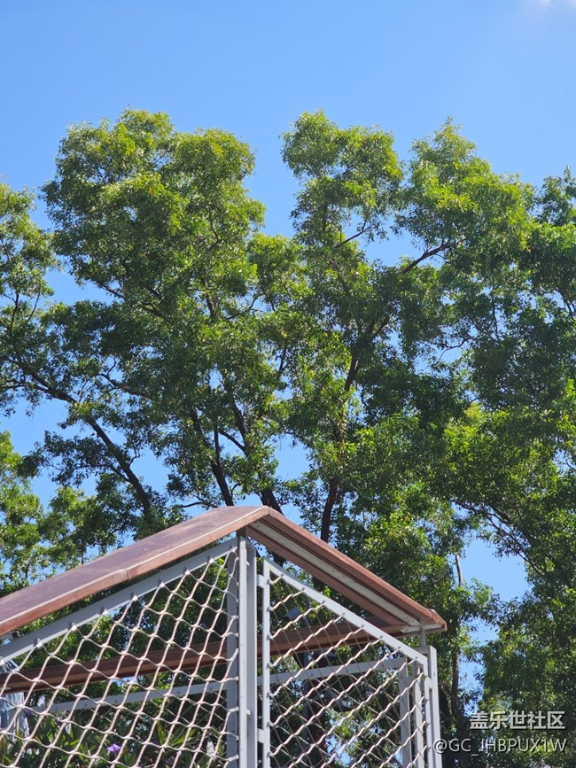 【春節(jié)去哪兒】散步