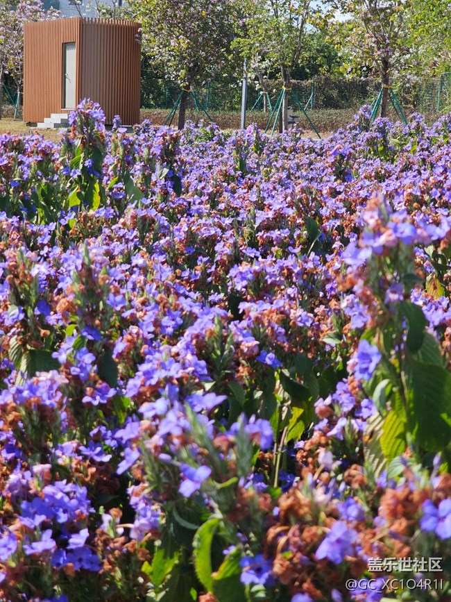 【春節(jié)去哪兒】好天氣好風(fēng)光