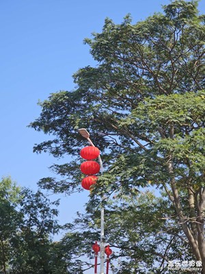 【光影賀新】街景