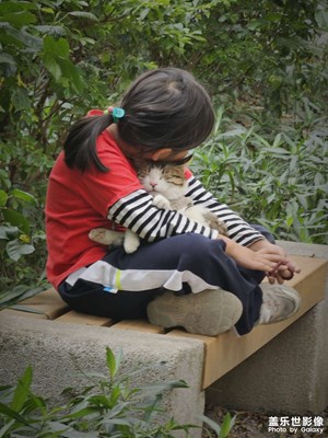 小朋友喜歡和貓玩