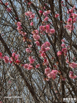 春天已經(jīng)來(lái)了