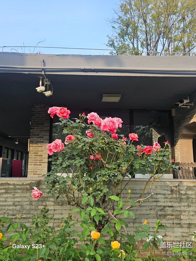 【早春二月】生發(fā)的季節(jié)