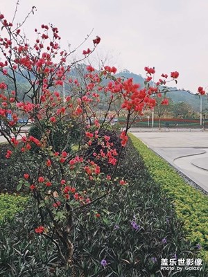 今晚的陽江差了點(diǎn)意思