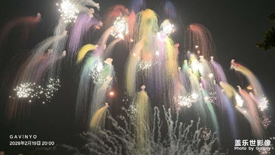 【春節(jié)印象】新年煙花秀