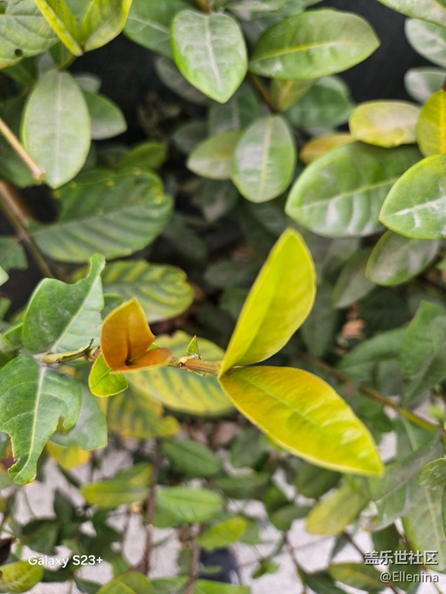 【早春二月】生發(fā)的季節(jié)