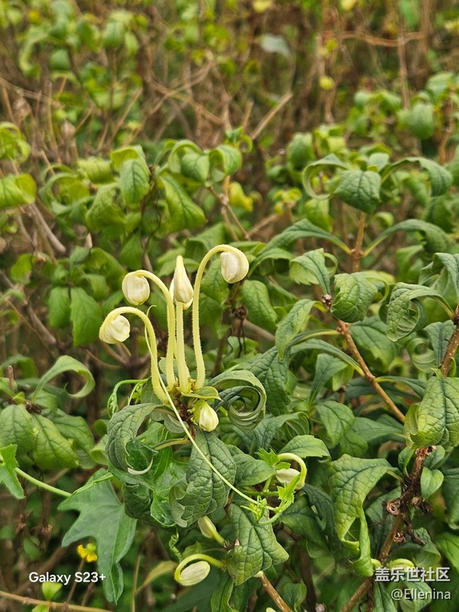 【早春二月】生發(fā)的季節(jié)