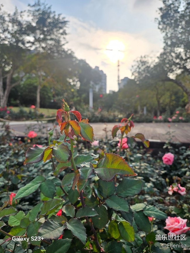 【早春二月】生發(fā)的季節(jié)