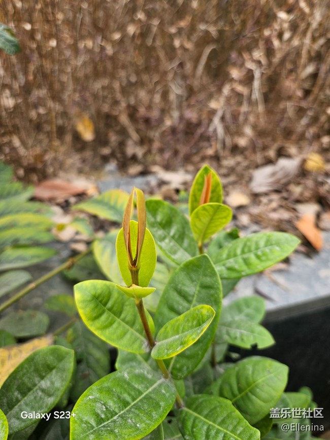 【早春二月】生發(fā)的季節(jié)