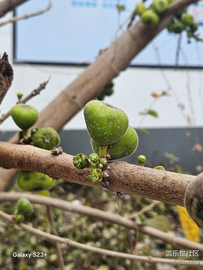 【早春二月】生發(fā)的季節(jié)