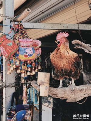 【行攝正月里】+曼掌村