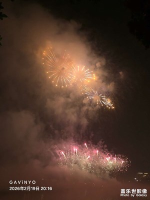 【行攝正月里】煙花秀