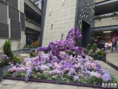 【行攝正月里】+家鄉(xiāng)的春節(jié)