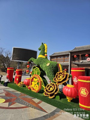 【行攝正月里】+正月隨拍