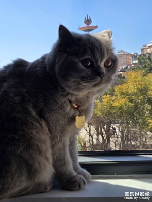 【行攝正月里】春節(jié)