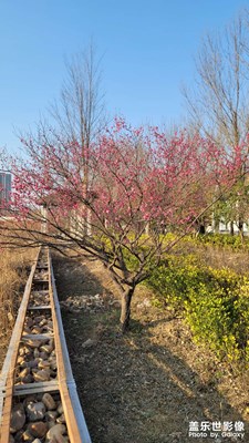 【行攝正月里】正月的風(fēng)景