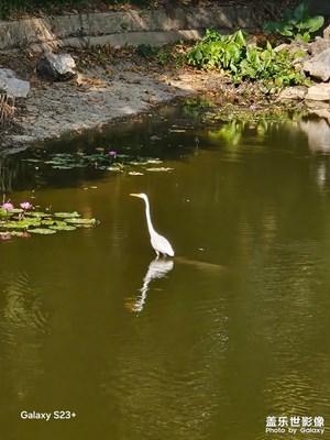 【行攝正月里】走走拍拍，驚喜不斷