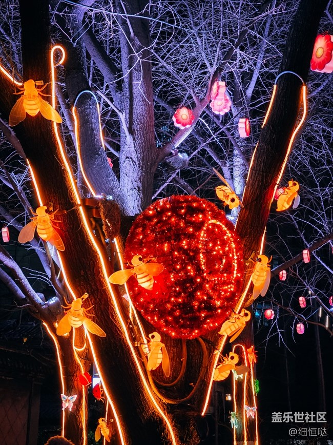 三星星粉嘉年華濟(jì)南新年花燈游記