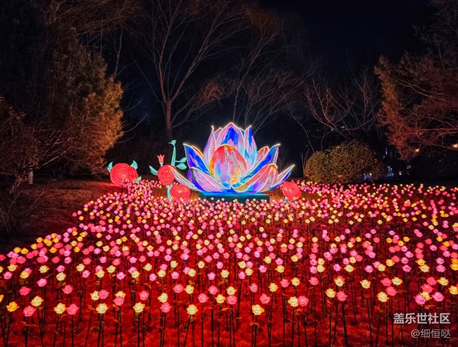 三星星粉嘉年華濟(jì)南新年花燈游記