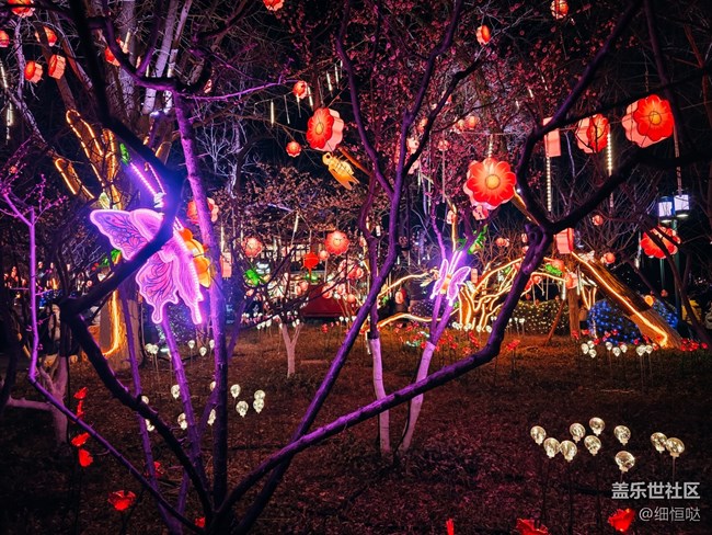 三星星粉嘉年華濟(jì)南新年花燈游記