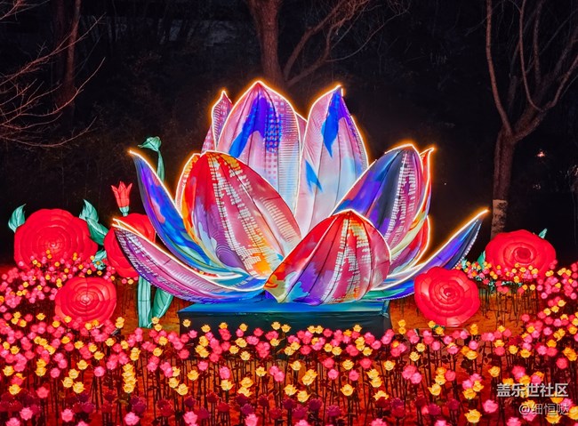 三星星粉嘉年華濟(jì)南新年花燈游記