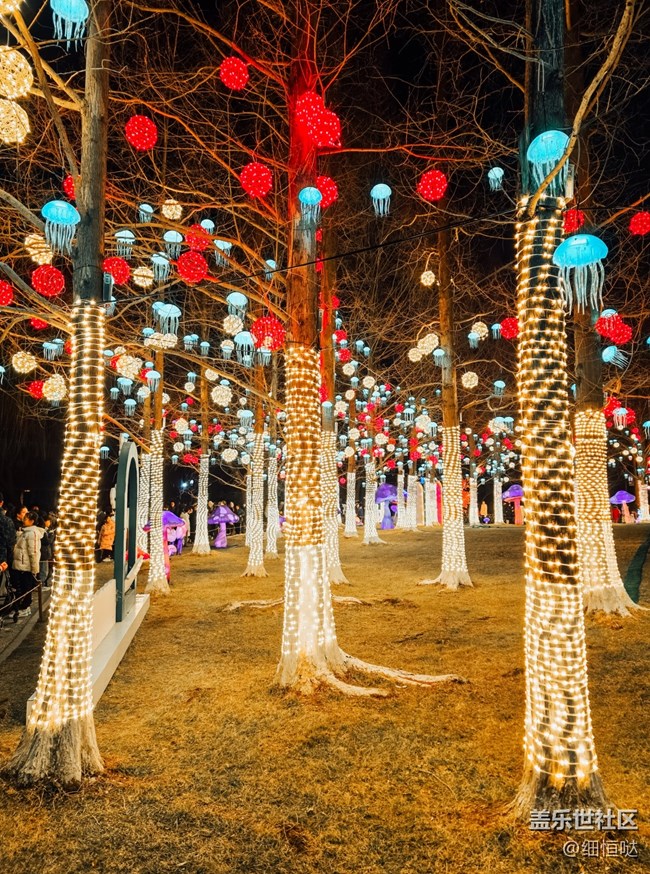 三星星粉嘉年華濟(jì)南新年花燈游記