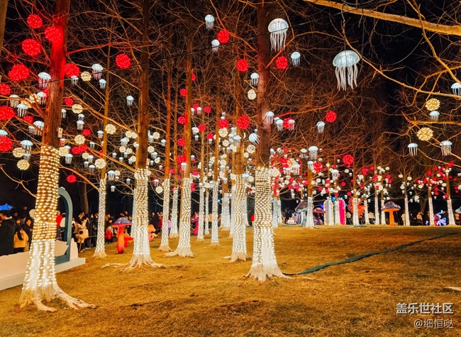 三星星粉嘉年華濟(jì)南新年花燈游記