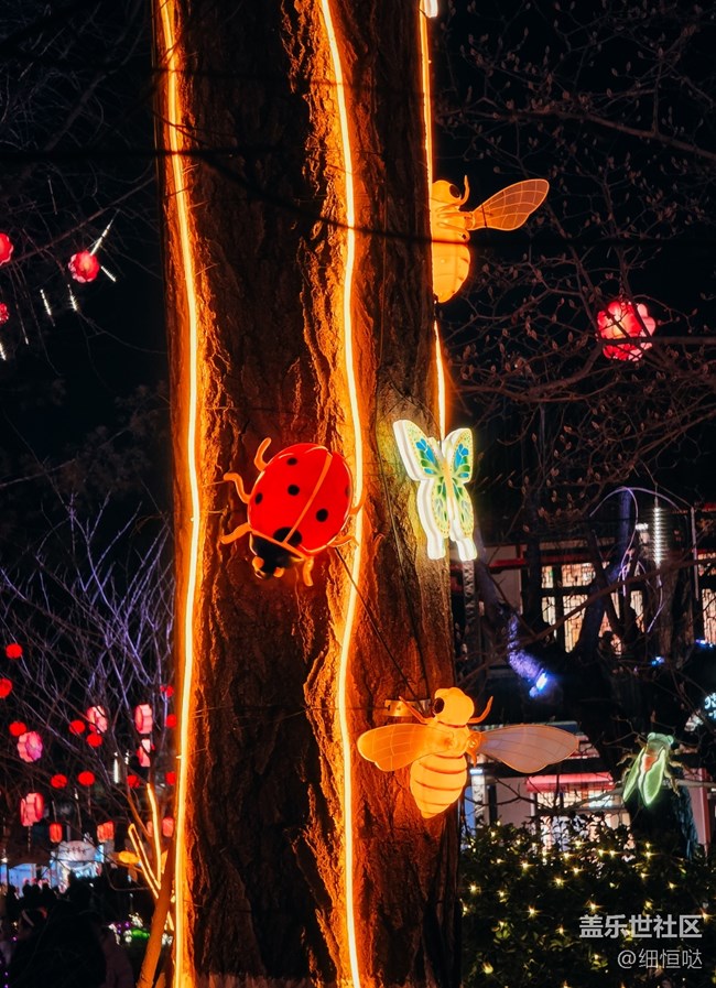 三星星粉嘉年華濟(jì)南新年花燈游記