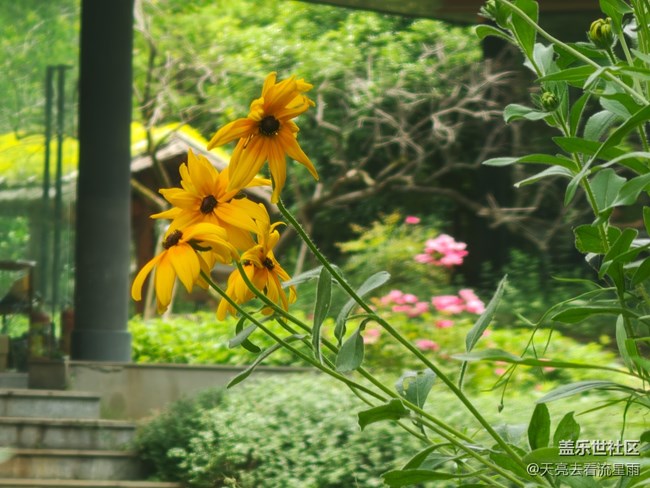 【早春二月】生機(jī)的季節(jié)