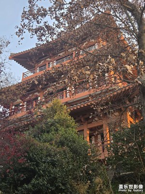 【行攝正月里】詩意美景