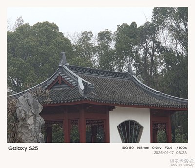 【行攝正月里】紅樓一夢