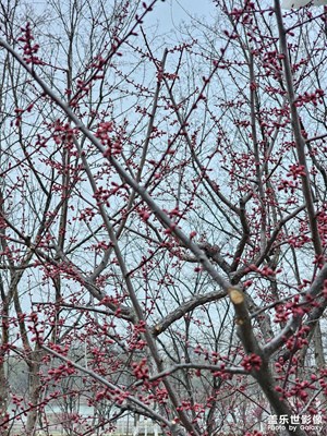 【行攝正月里】都沒人了