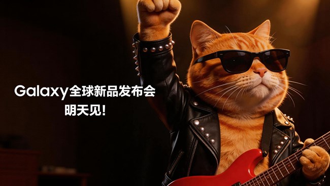 誰(shuí)能拒絕一只哈基米的酷炫舞臺(tái)呢？