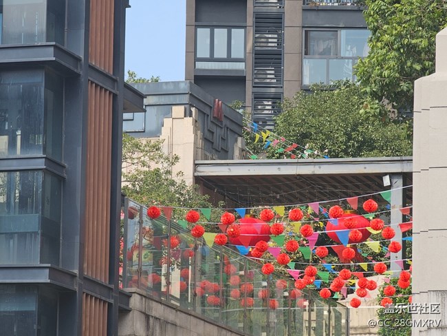 【福滿(mǎn)新歲】新年