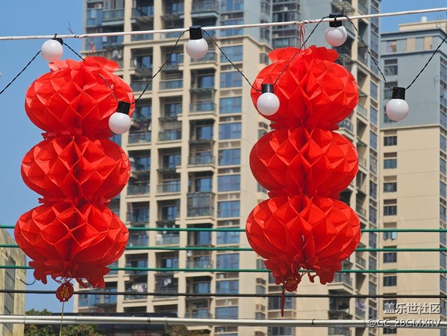 【春節(jié)符號(hào)】新年新氣象