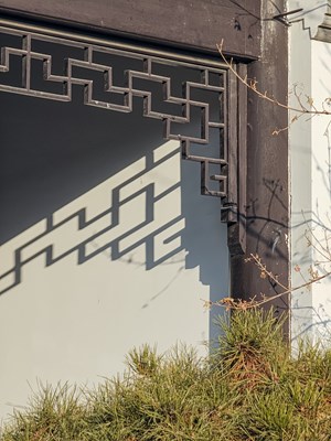 Galaxy S23 Ultra 暖陽迎春（二）