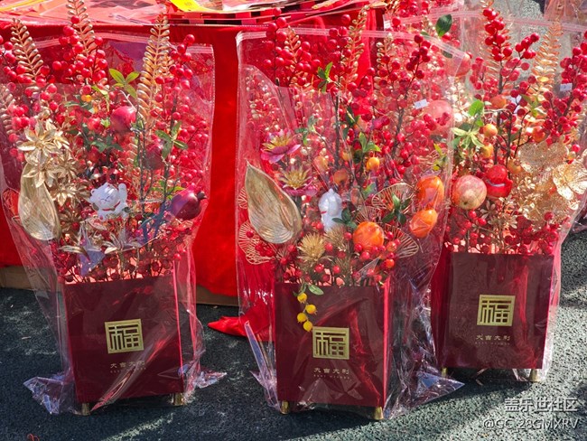 【Galaxy影像】#新年新視角