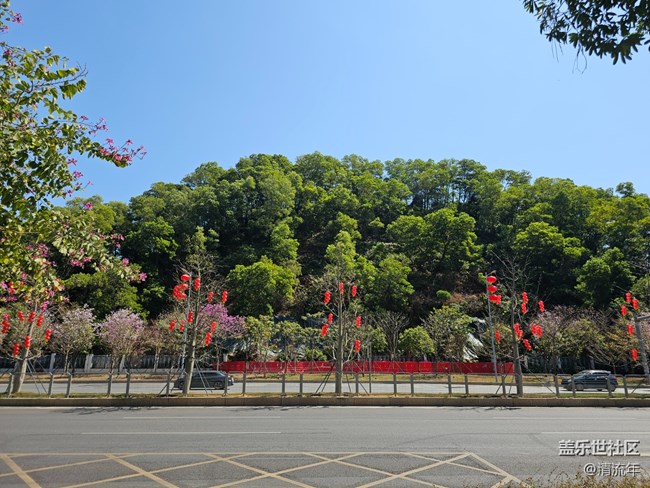 【福滿新歲】年年有余