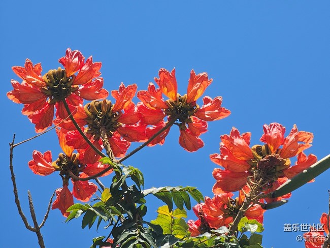 【春節(jié)符號】節(jié)日里