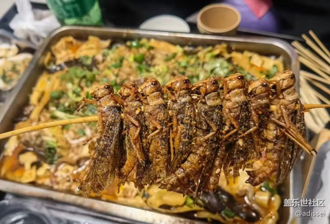 【人間知春味】夜宵