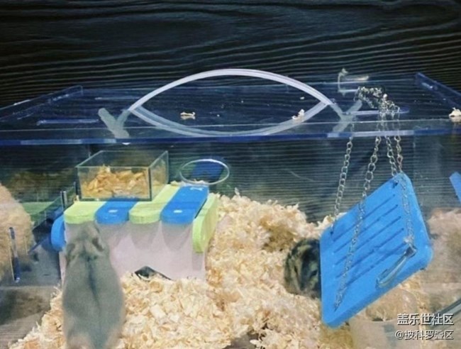 【旅途瞬間志】日常生活