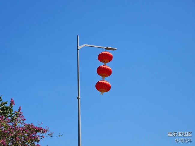 【福滿新歲】年年有余