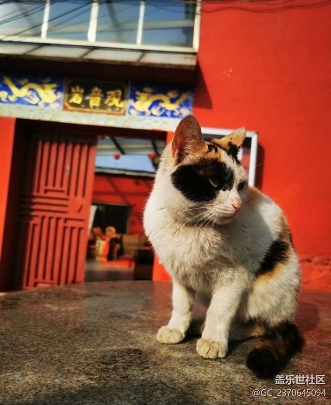 【旅途瞬間志】黃梅一日游